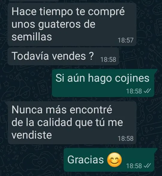 Clienta que volvió a comprar cojines de semillas: nunca más encontré de la calidad